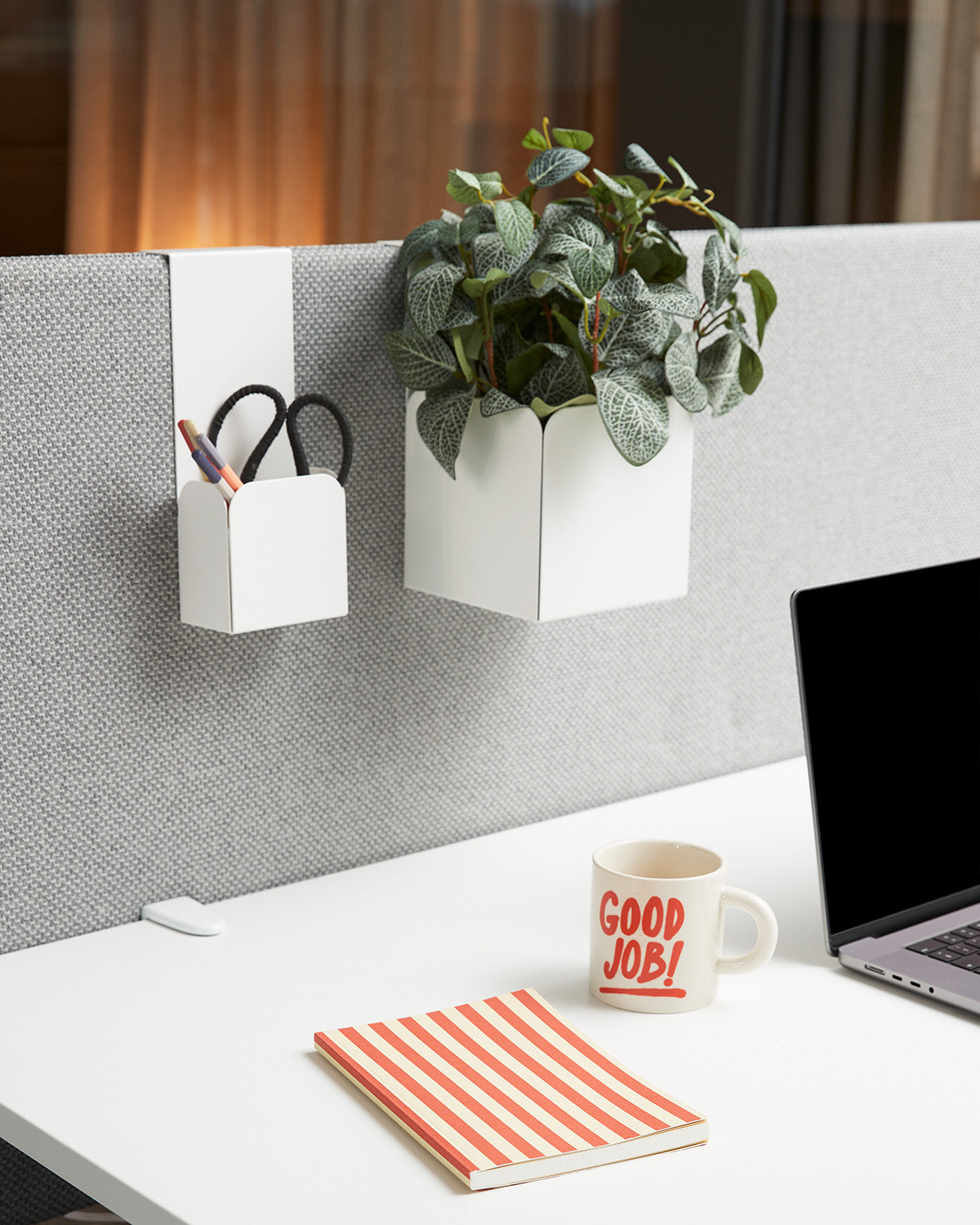 Kunstig plante Fittonia