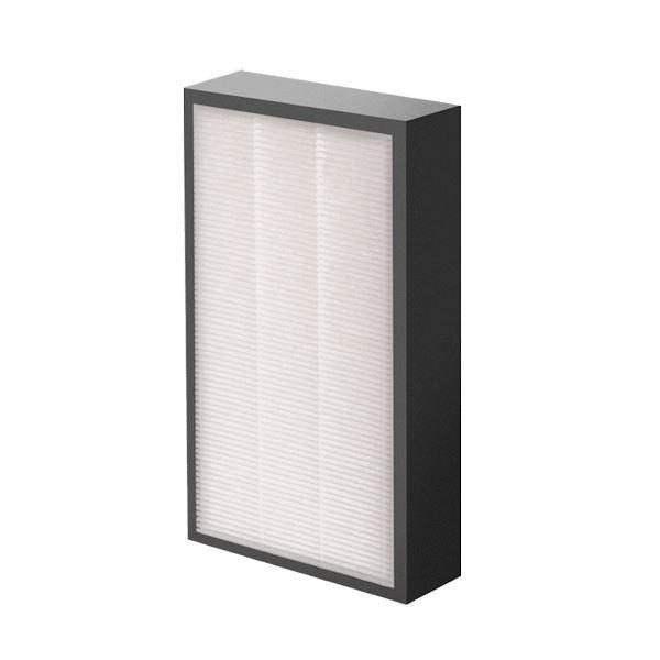 AeraMax Pro AM II HEPA Filter 50mm - Wulff Beltton