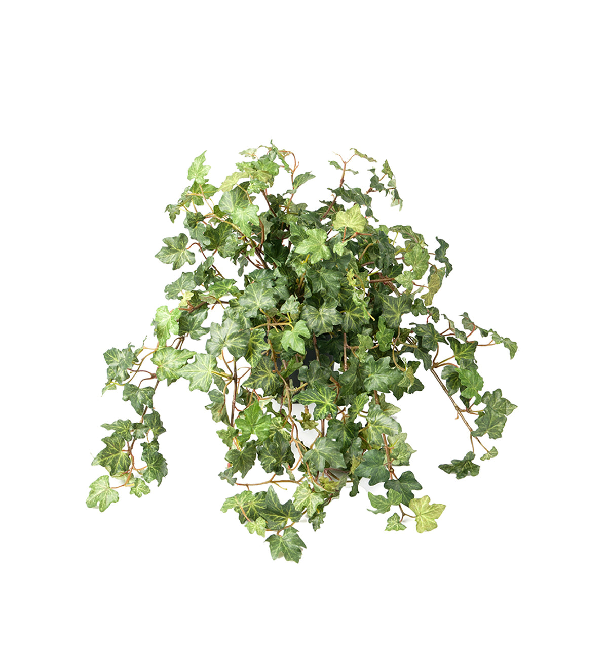 Kunstig plante Vedbend