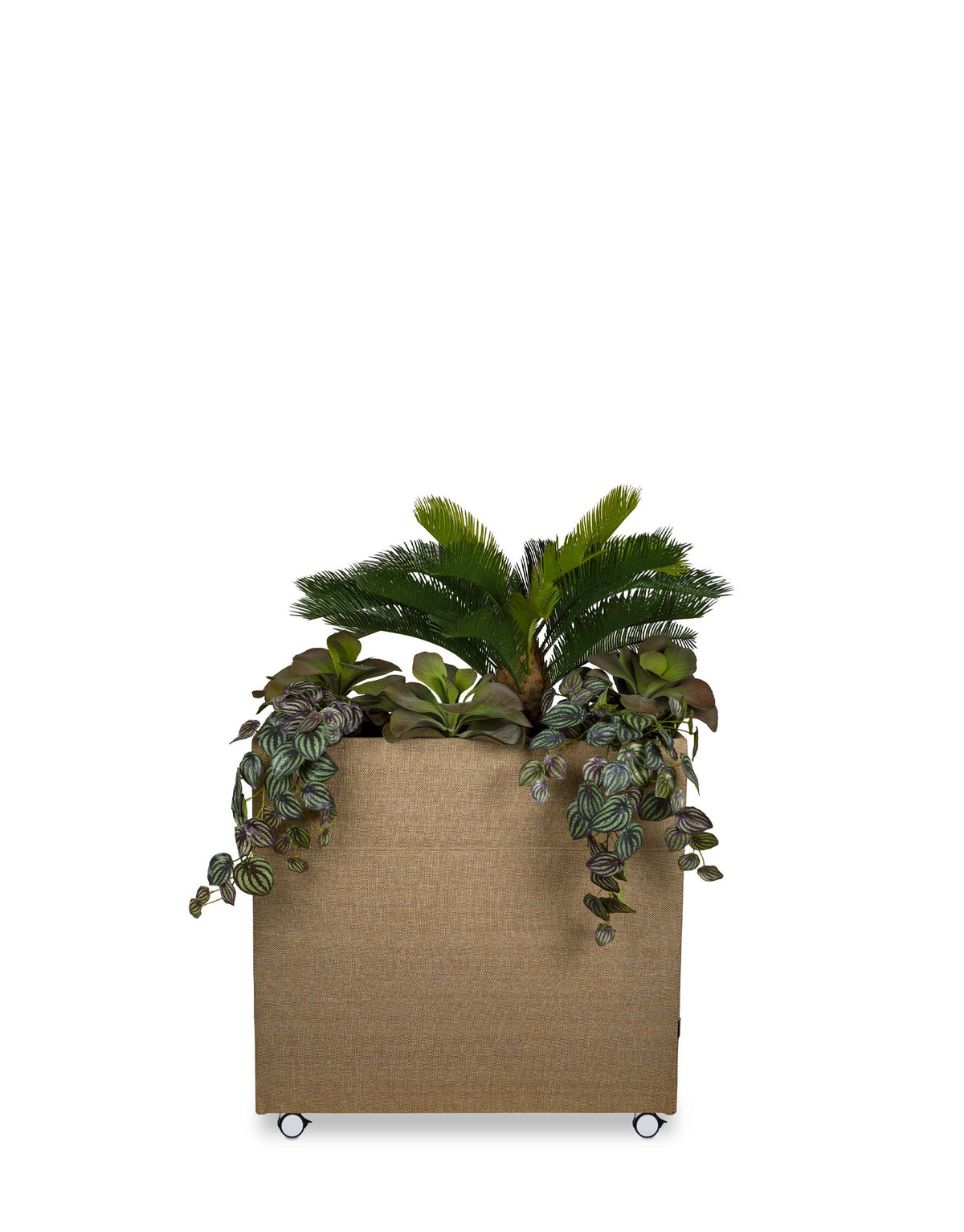 plant-divider