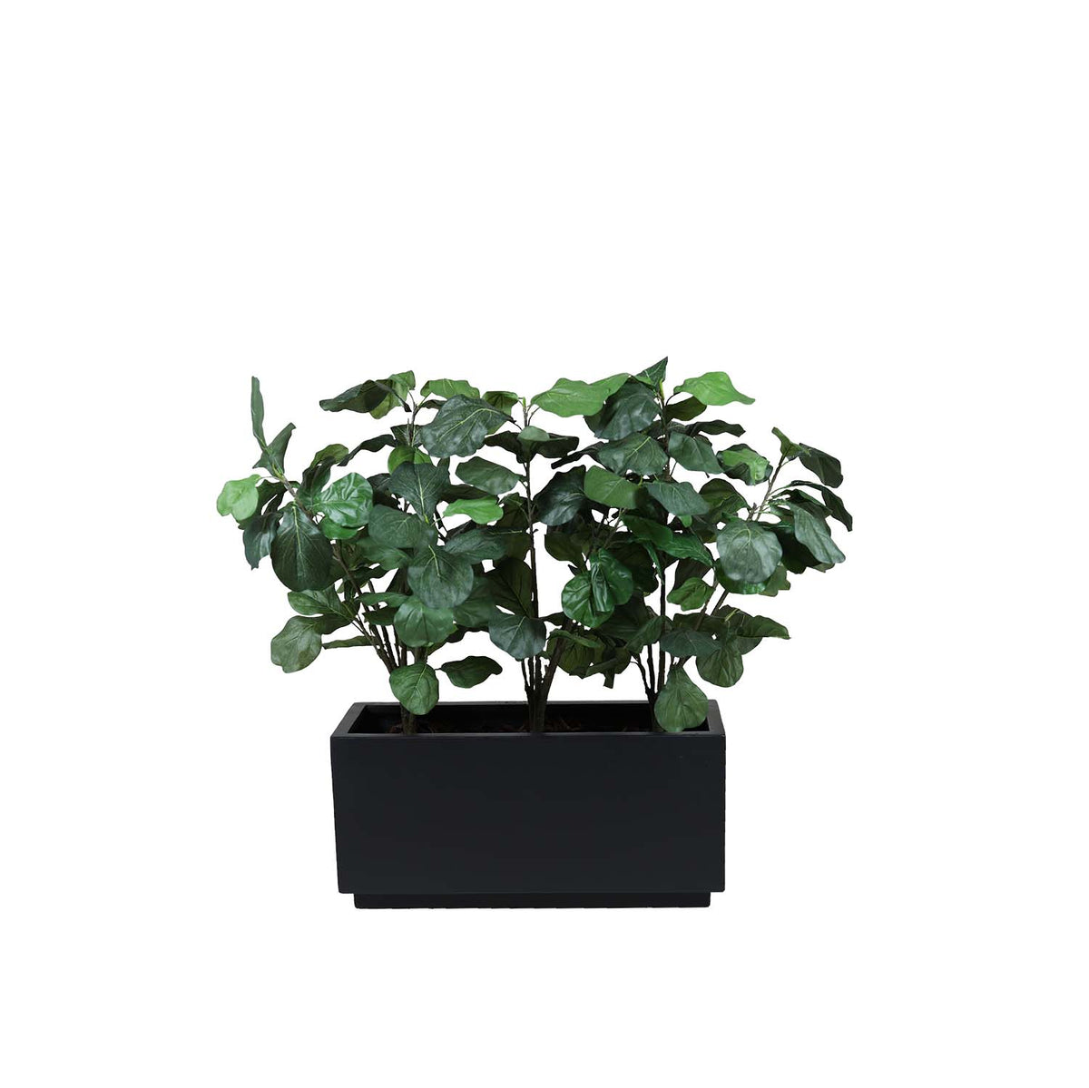 Krukke rektangulær | Livorno