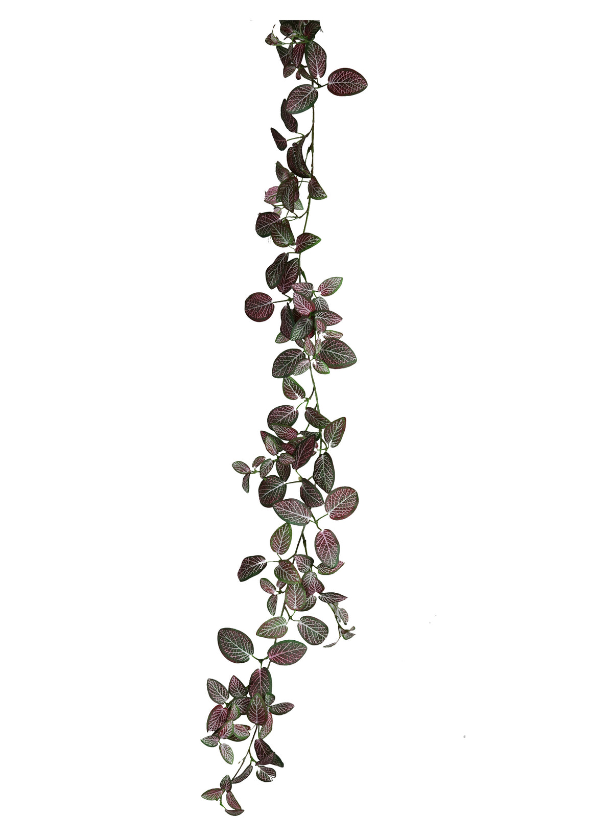 Kunstplante Fittonia Garlang