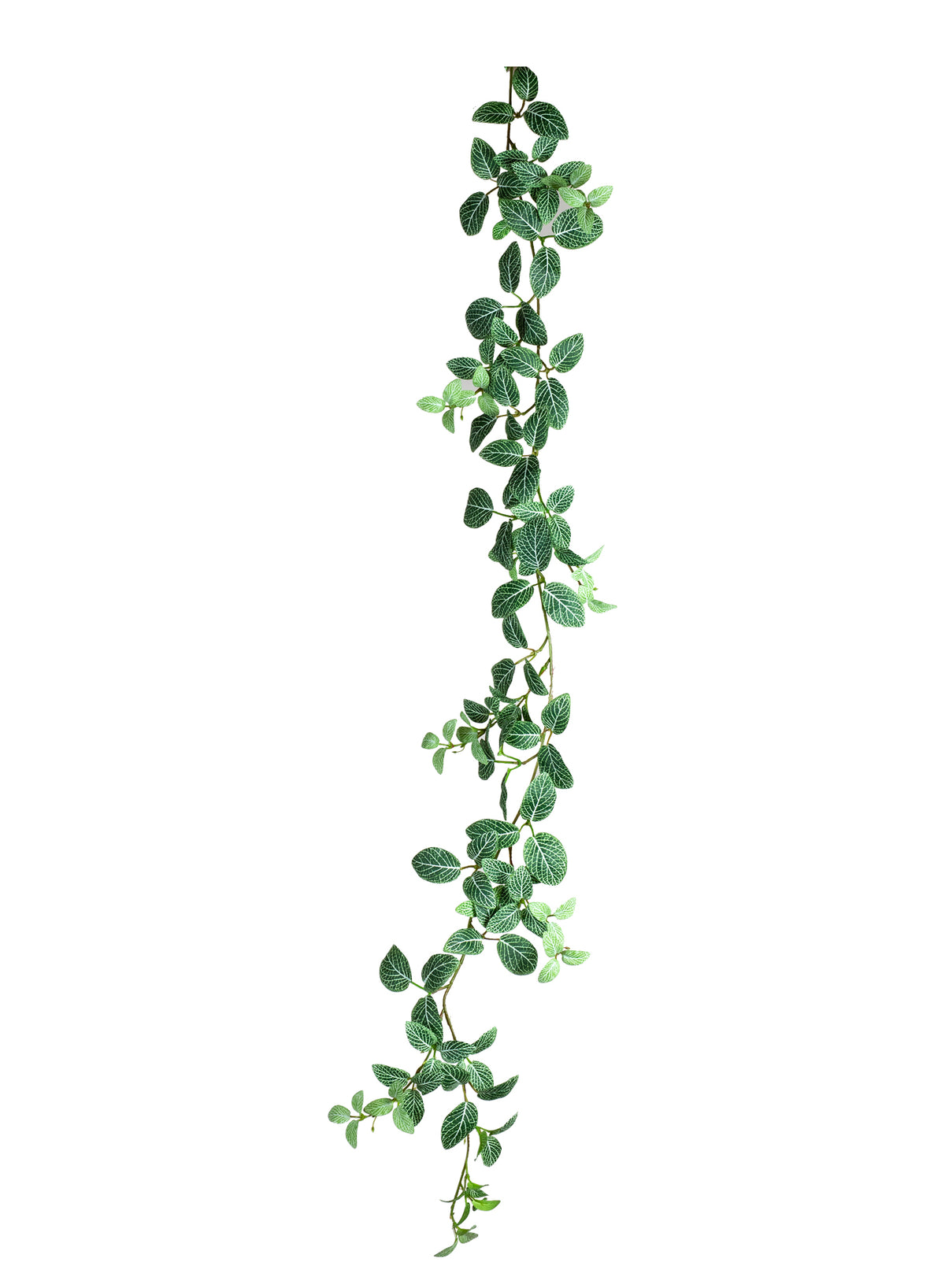 Kunstplante Fittonia Garlang