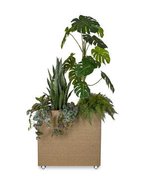 plant-divider
