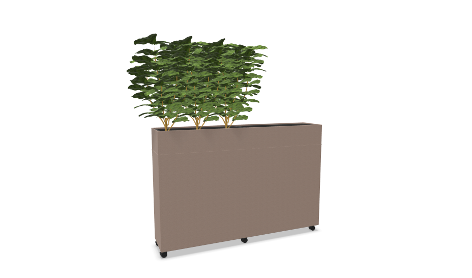 Rumdeler Plant Divider Large