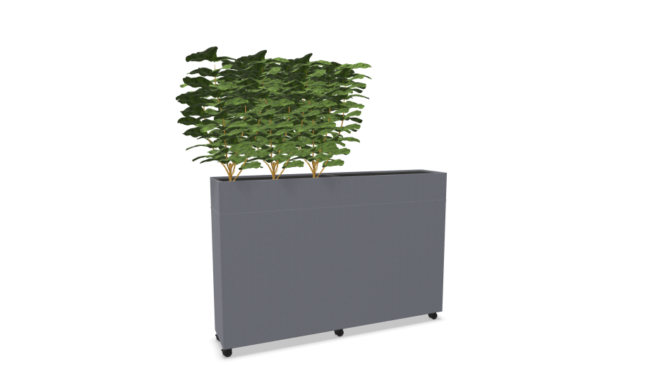 Rumdeler Plant Divider Large