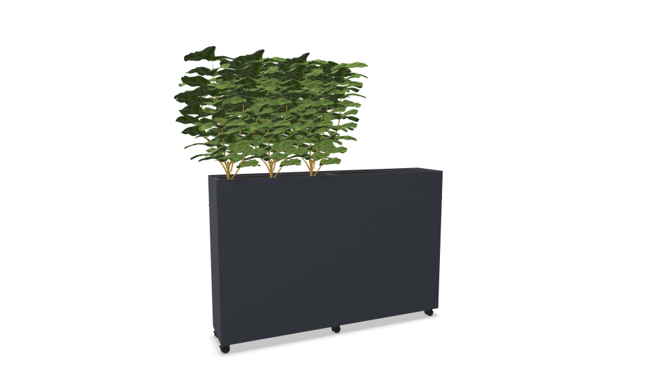 Rumdeler Plant Divider Large