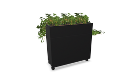 Rumdeler Plant Divider Large