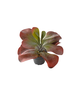Kunstig plante Kalanchoe